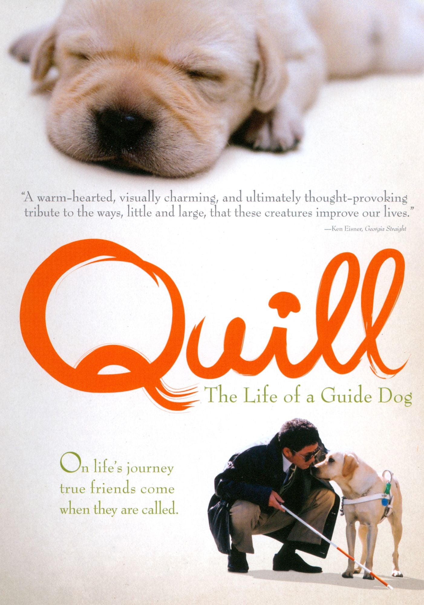 Quill