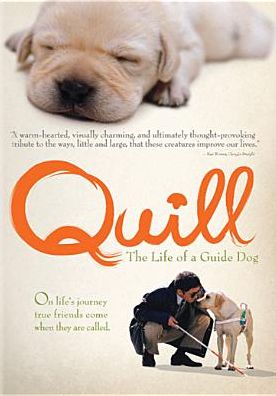Quill