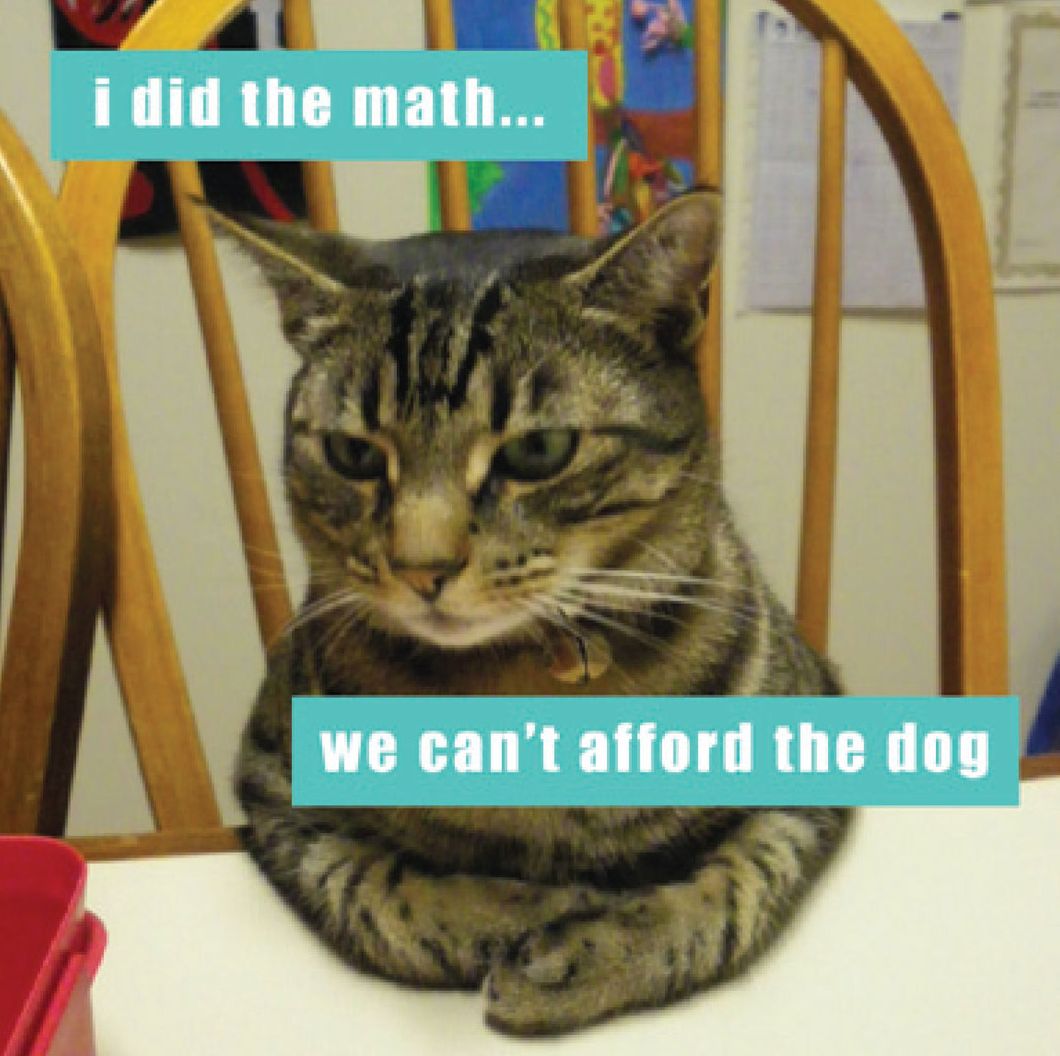 I Did the Math Cat ICHC Magnet