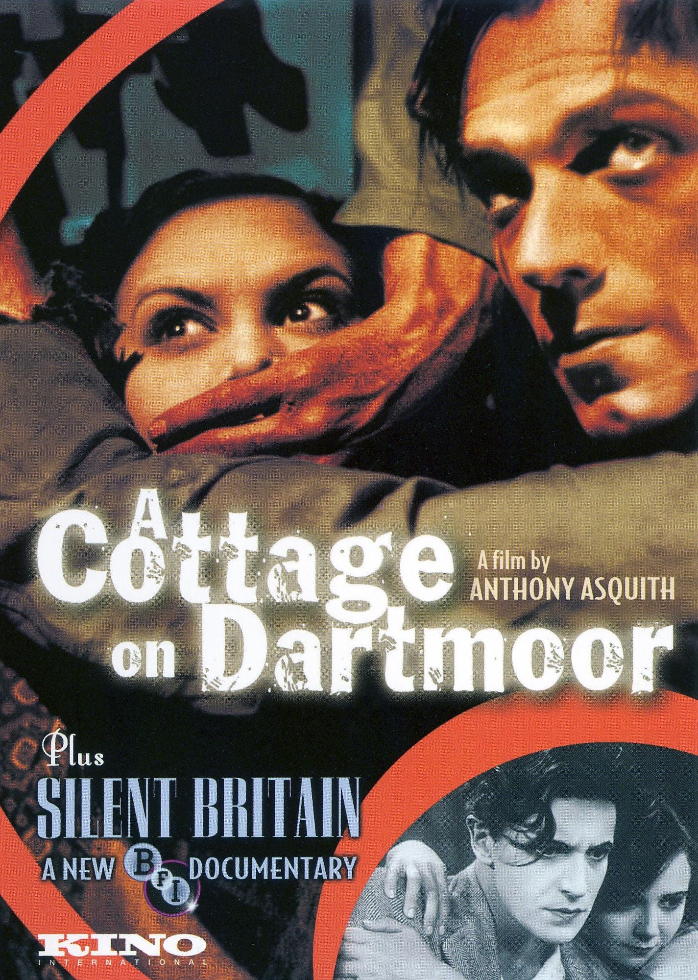 A Cottage on Dartmoor