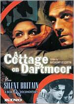 A Cottage on Dartmoor