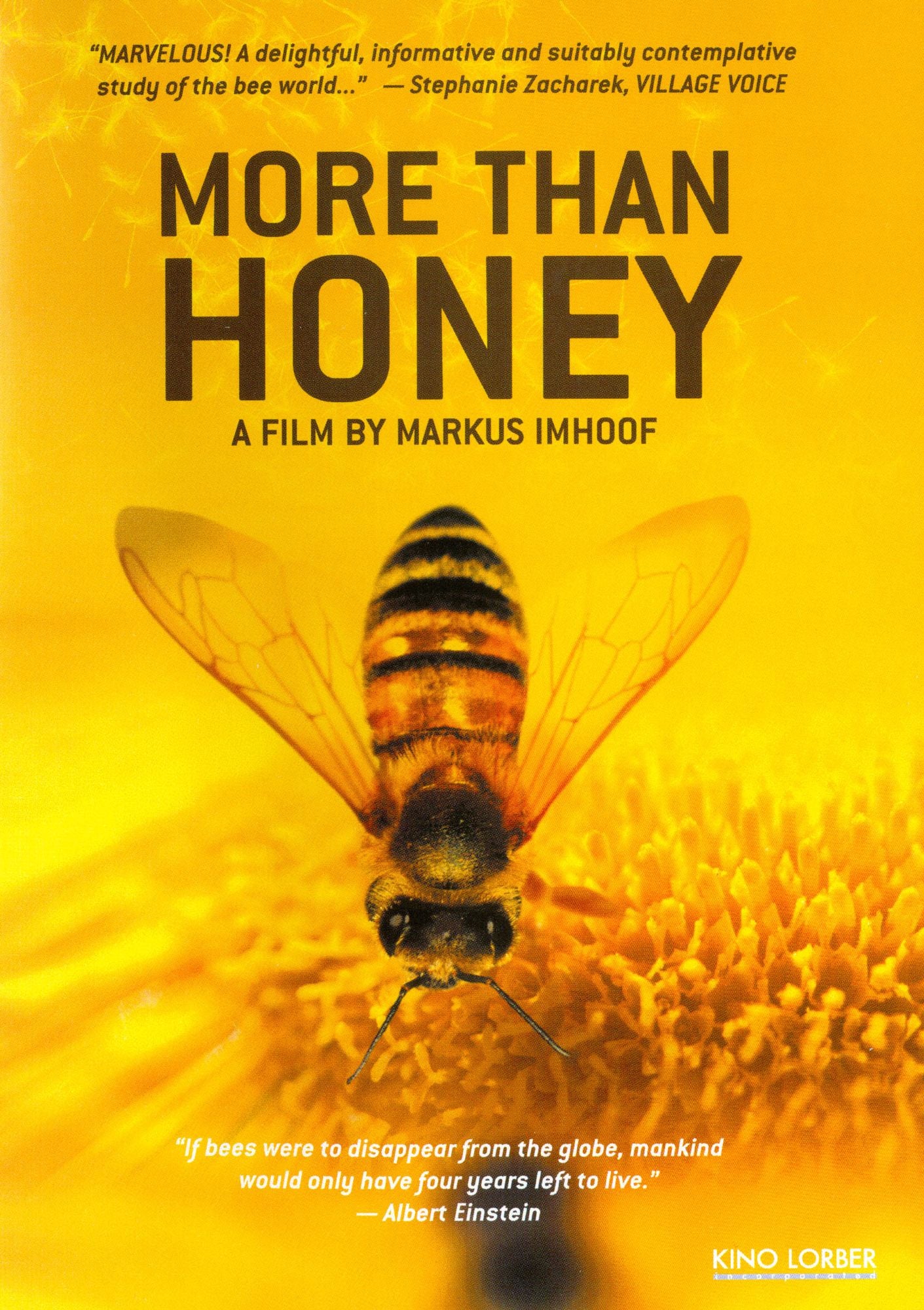 More Than Honey