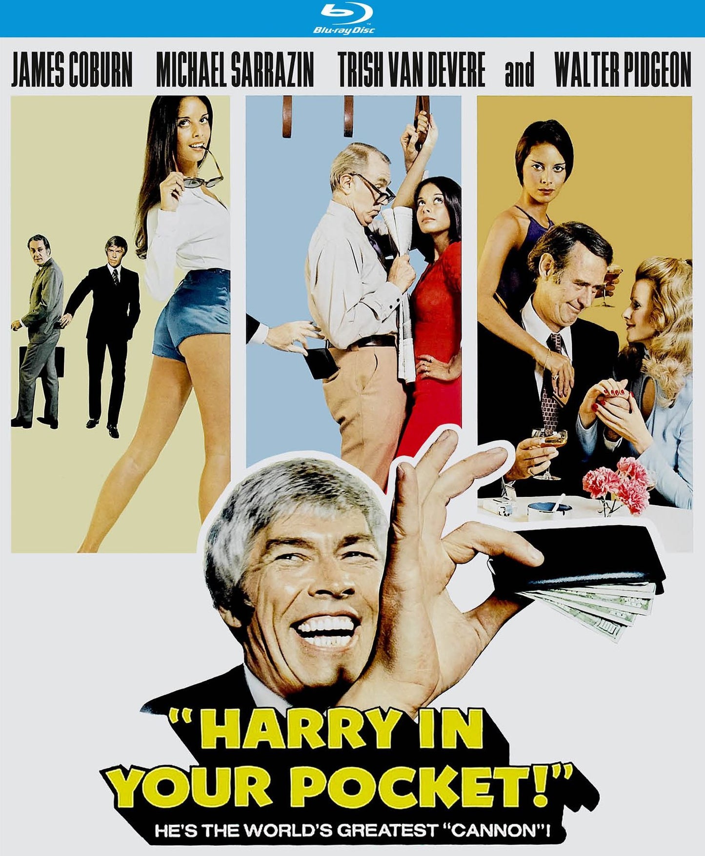 HARRY IN YOUR POCKET / (BR)