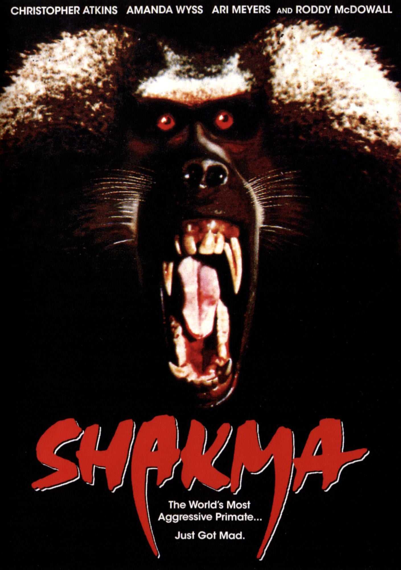 Shakma
