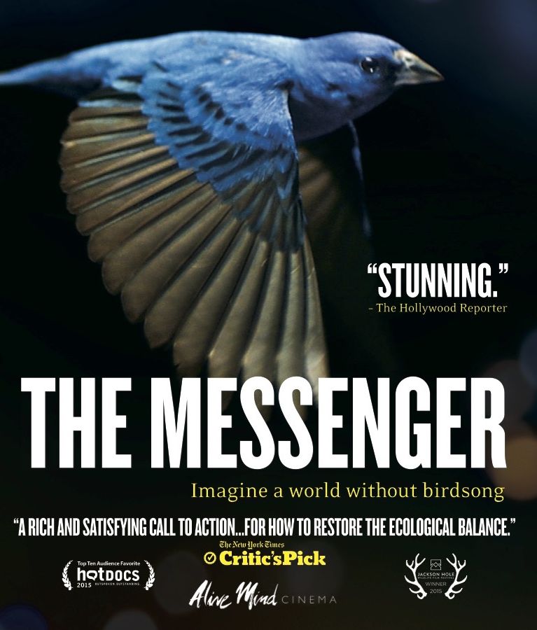 The Messenger [Blu-ray]