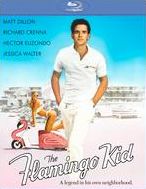 The Flamingo Kid [Blu-ray]