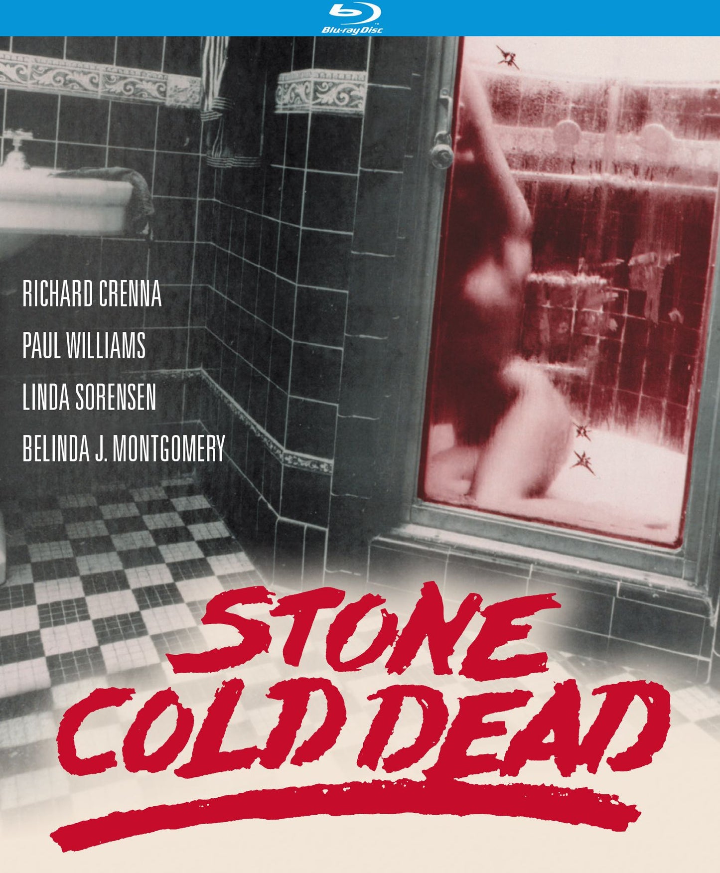 Stone Cold Dead [Blu-ray]