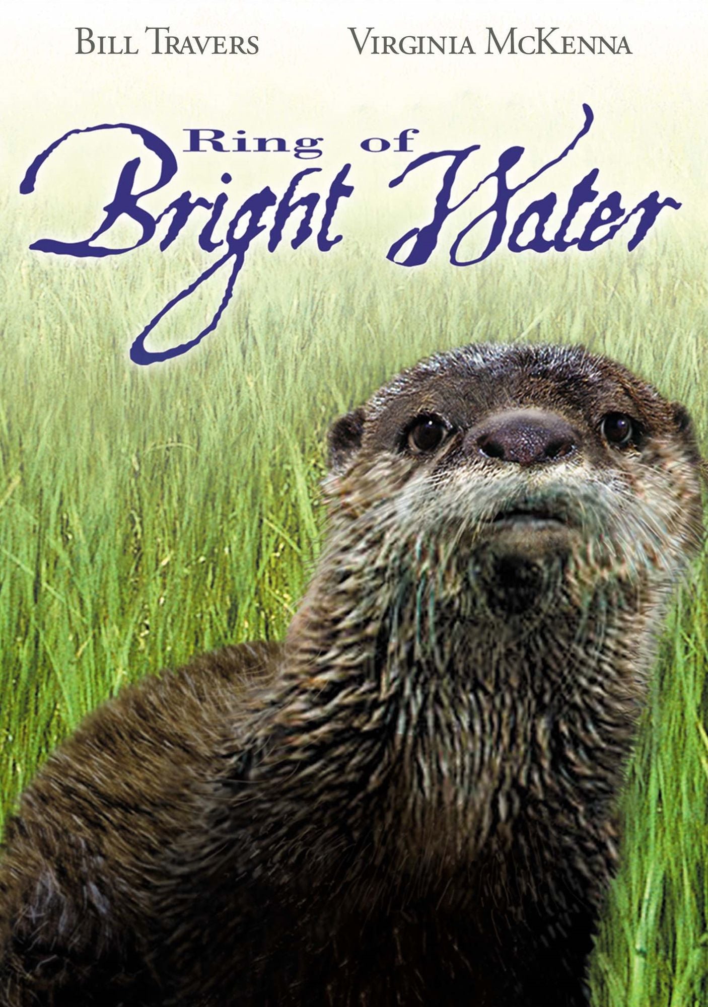 Ring of Bright Water