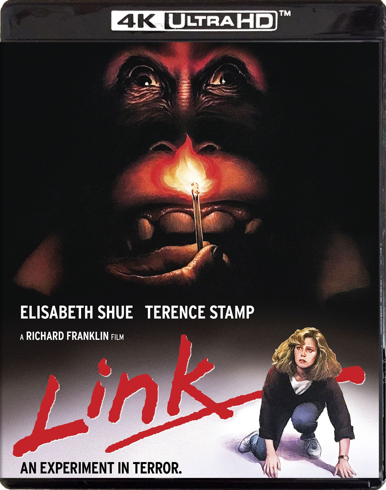 Link