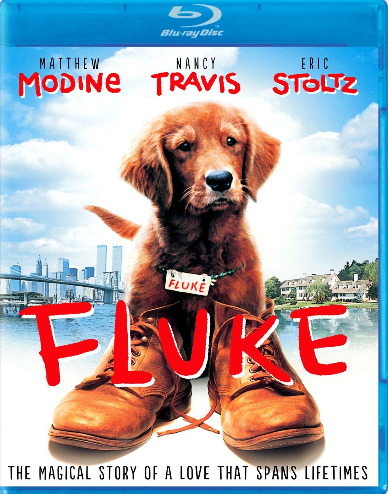 Fluke