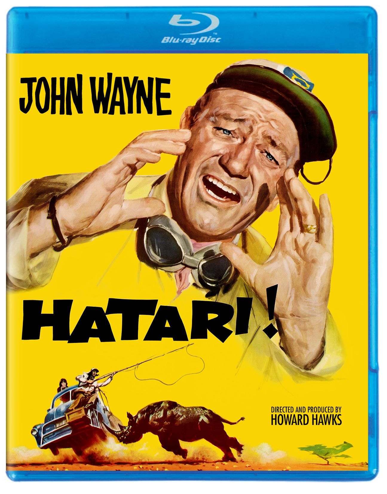 Hatari