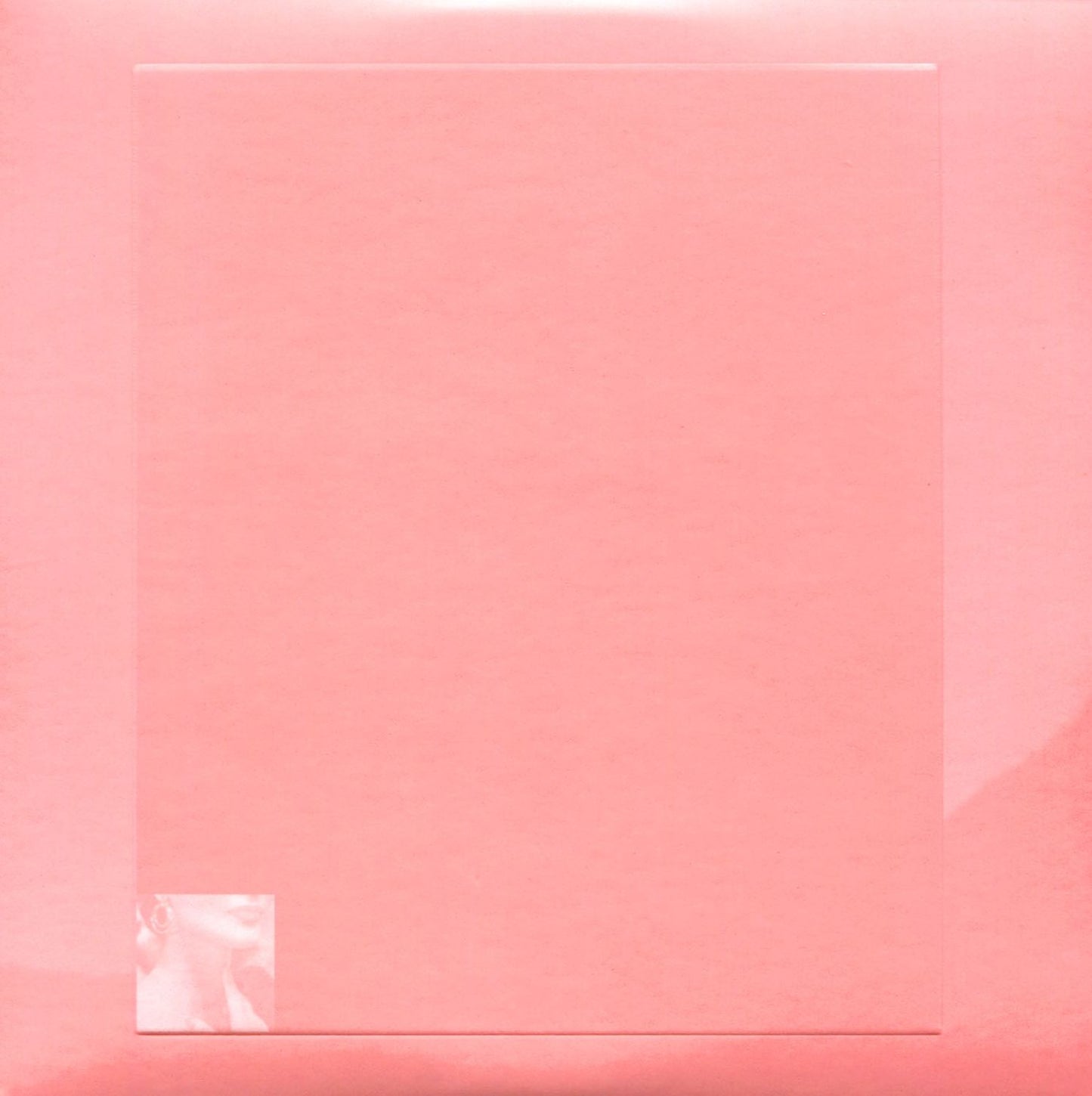 INDELICATE SLICES