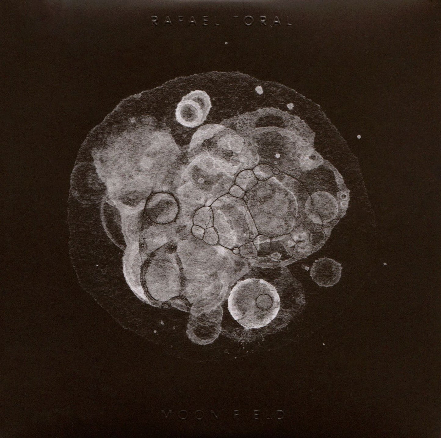 MOON FIELD