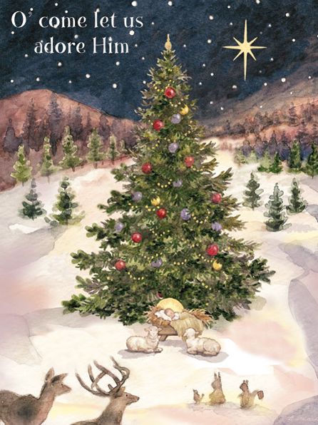 Let Us Adore Him Christmas Boxed Card
