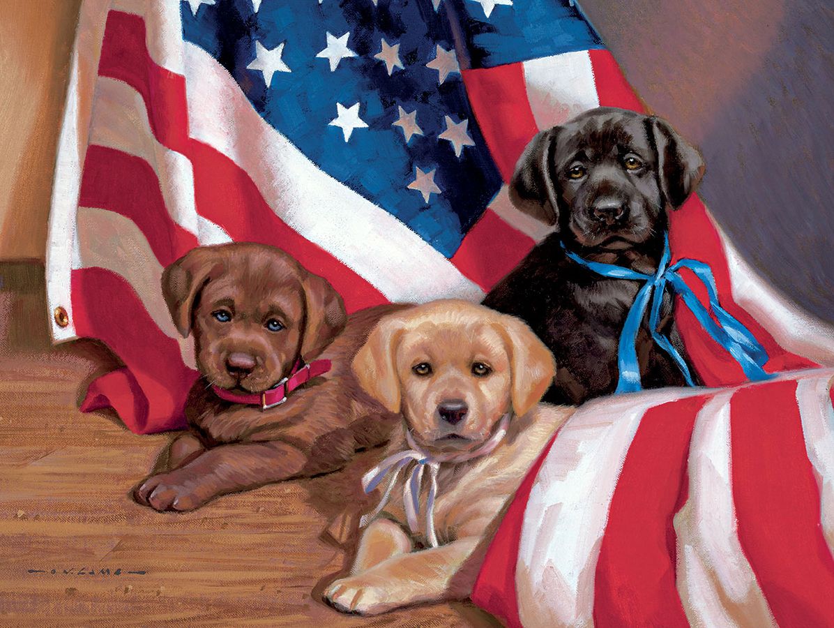 American Puppy 500-Piece Puzzle