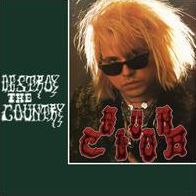 Destroy The Country