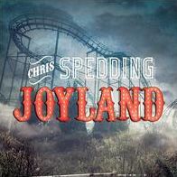 Joyland [Lp]