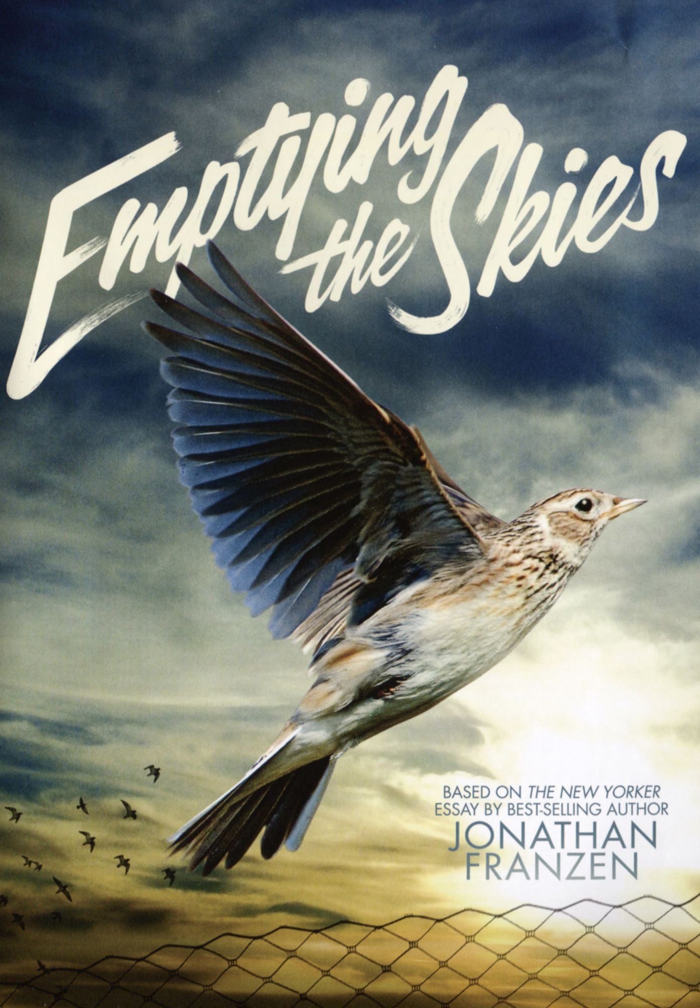 Emptying the Skies