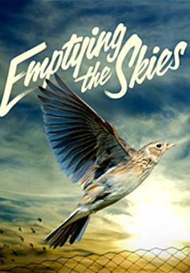 Emptying the Skies