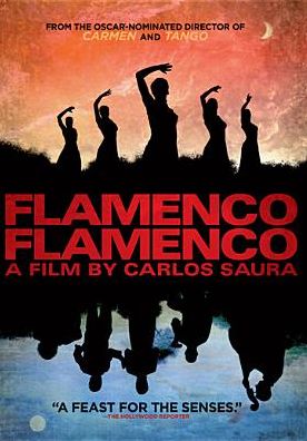 Flamenco, Flamenco