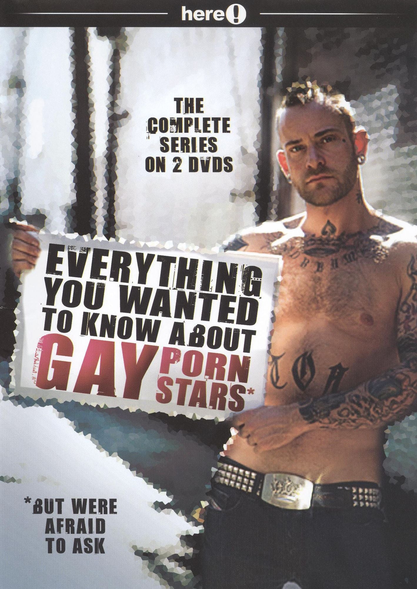 Everything You Wanted to Know About Gay Porn Stars: The Complete Series [2 Discs]