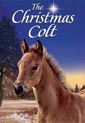 The Christmas Colt