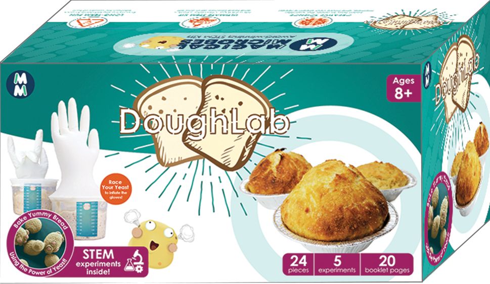 DoughLab: Bake and Learn