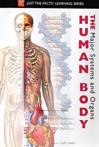 Just the Facts: The Human Body - Major Systems and Organs