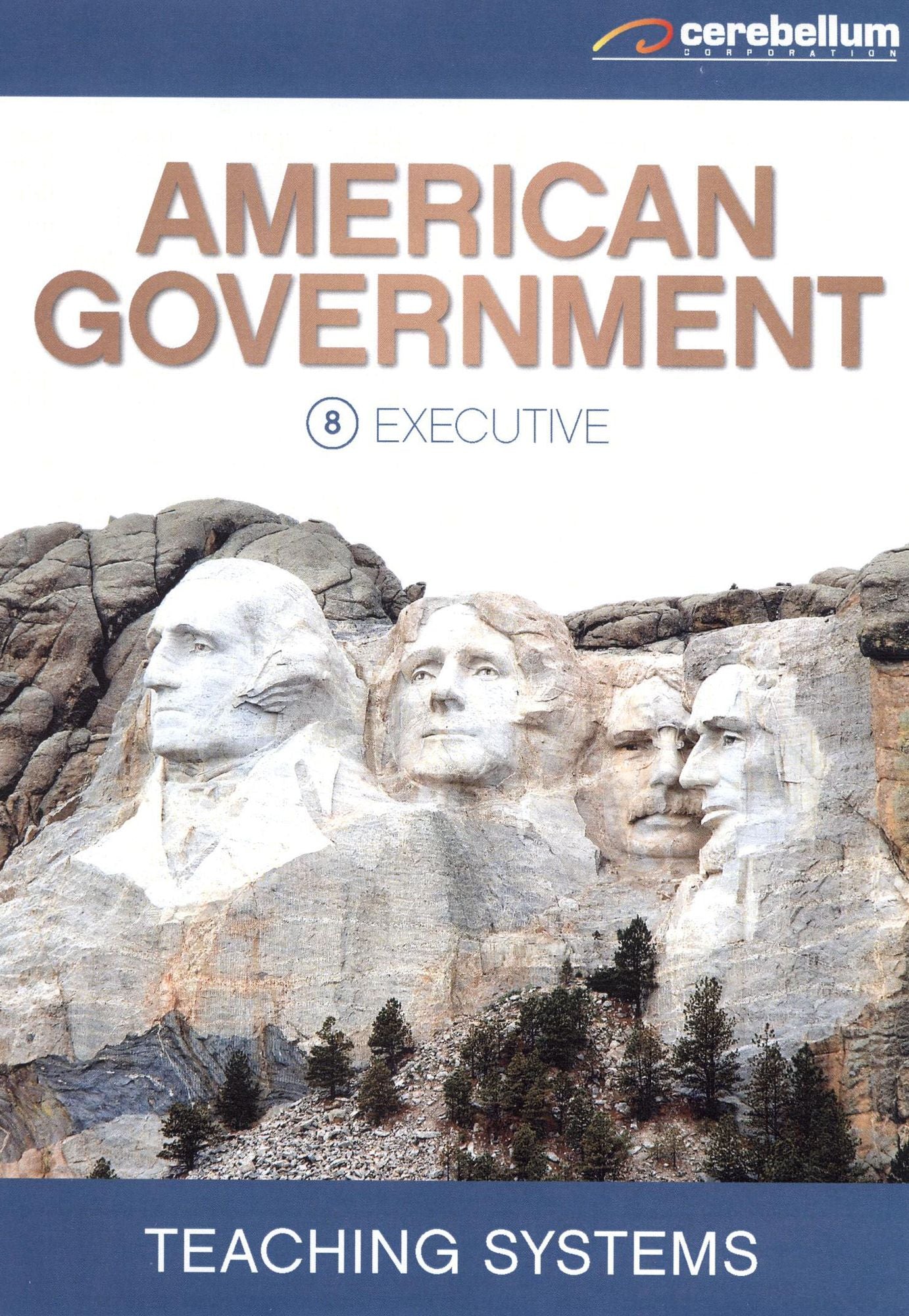 Teaching Systems: American Government Module 8 - Executive