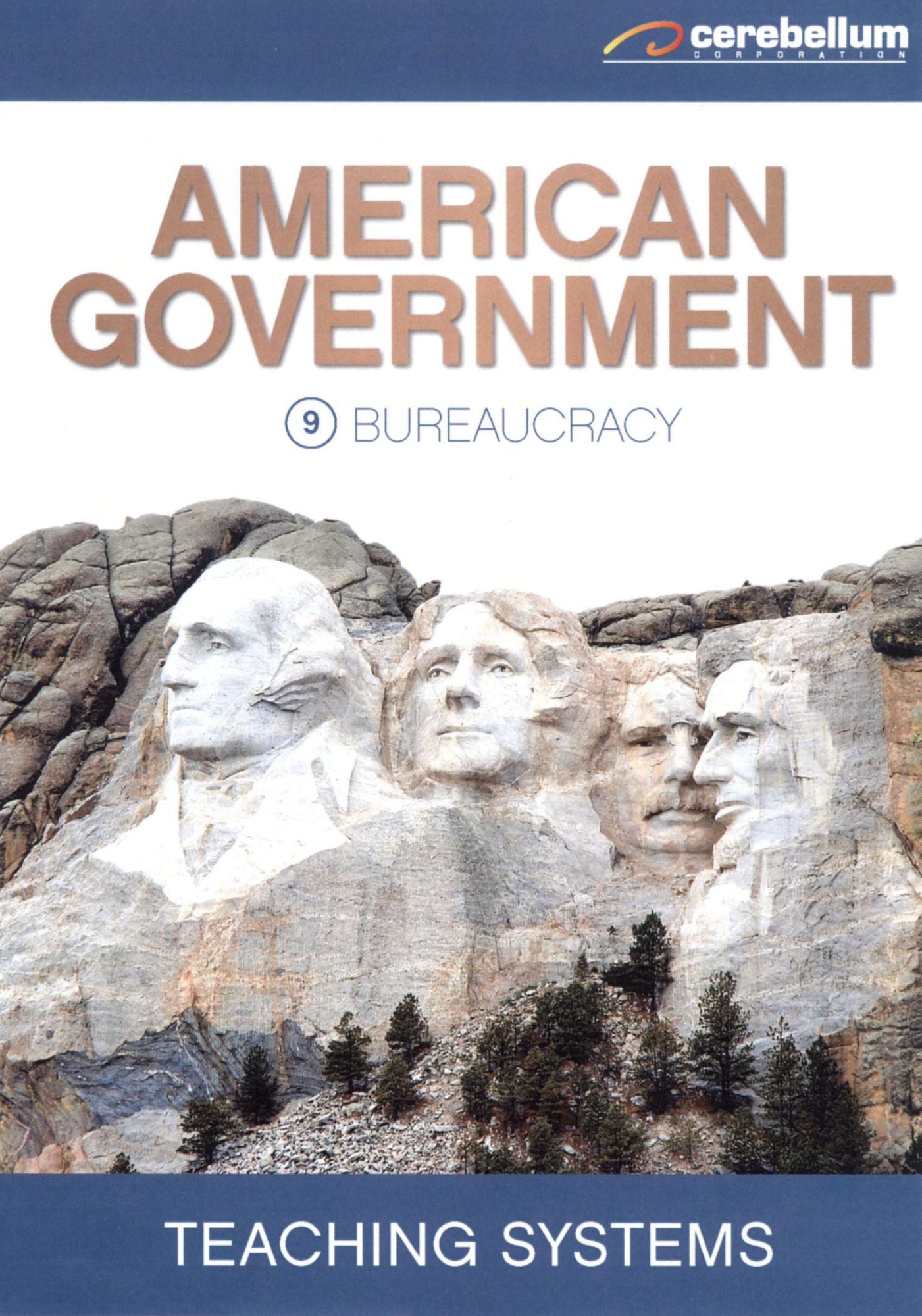 Teaching Systems: American Government Module 9 - Bureaucracy