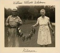 Kilonova