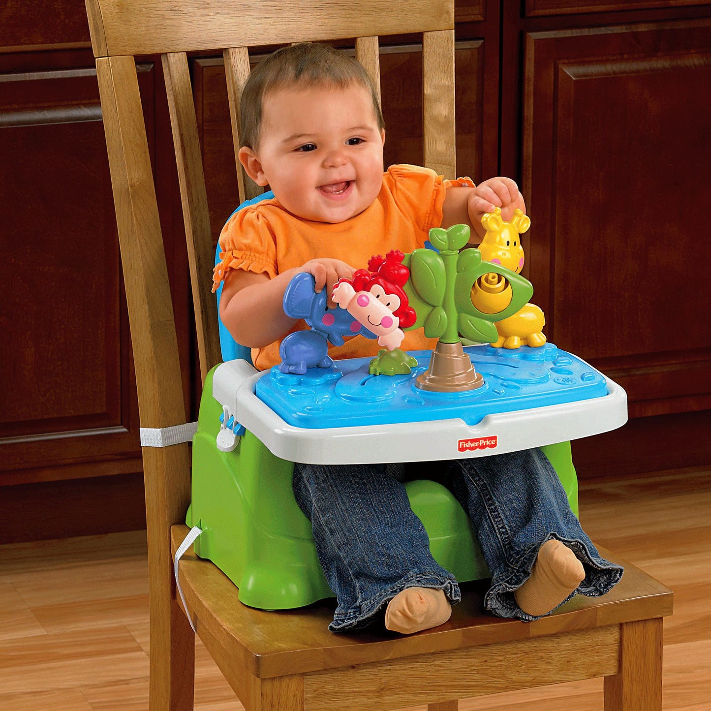 Fisher-Price Discover 'n Grow Busy Baby Booster