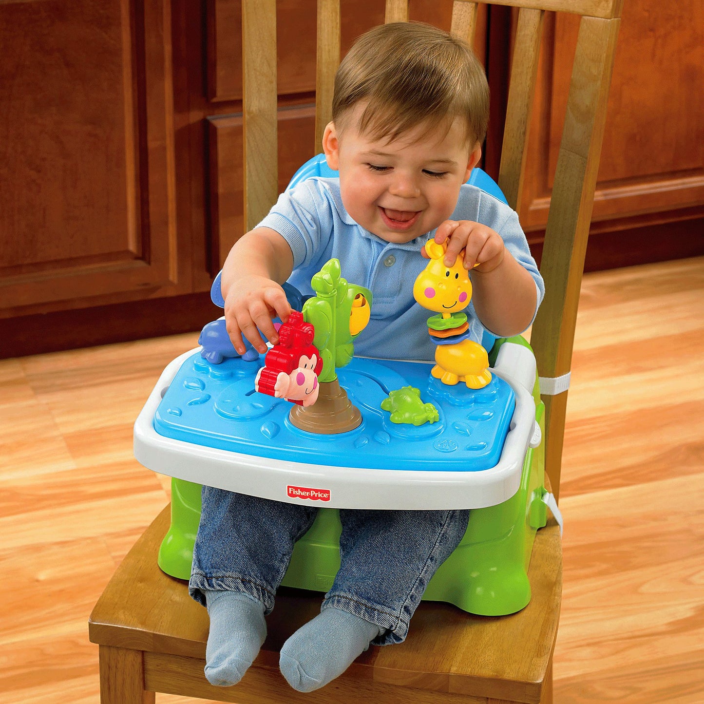 Fisher-Price Discover 'n Grow Busy Baby Booster
