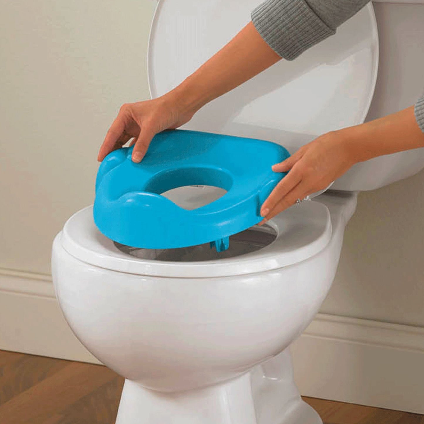 Fisher-Price Learn-to-Flush Potty