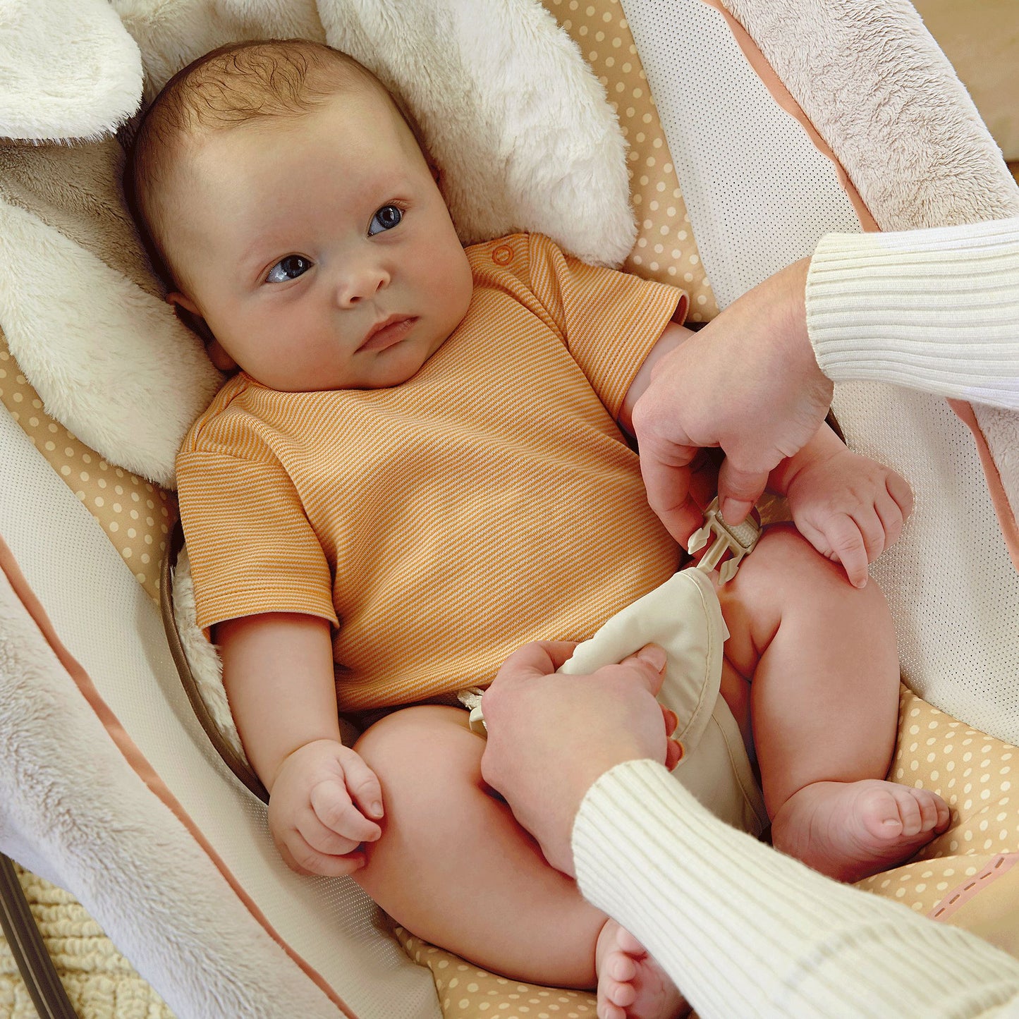 Deluxe Newborn Rock N Play Sleeper
