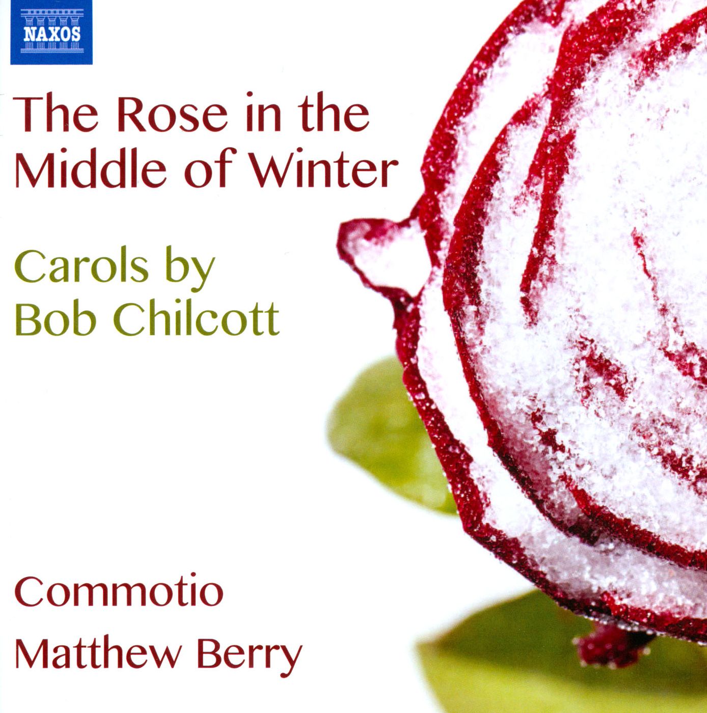 ROSE IN THE MIDDLE OF WINTER -