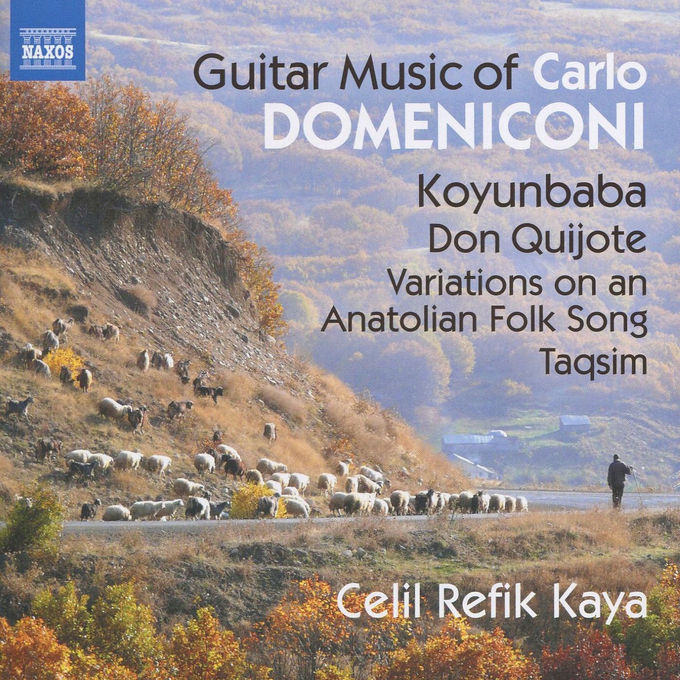 Guitar Music Of Carlo Domeniconi