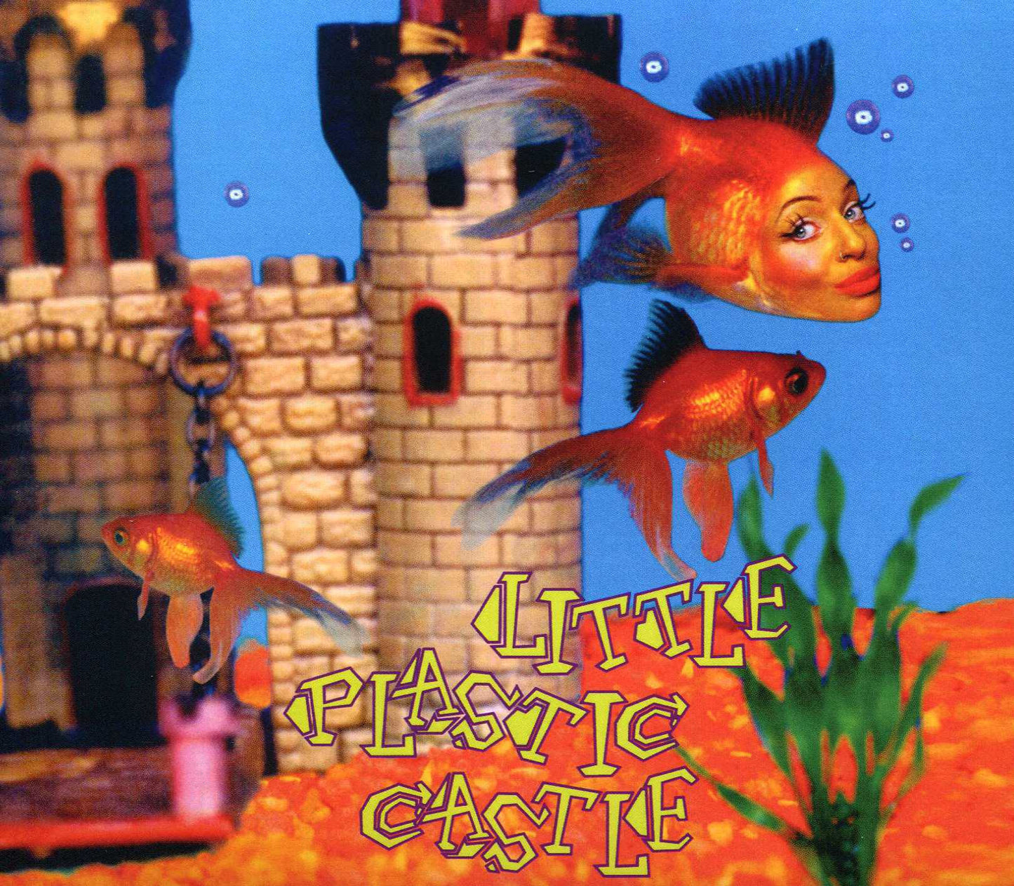 Little Plastic Castle [25th Anniversary Edition]