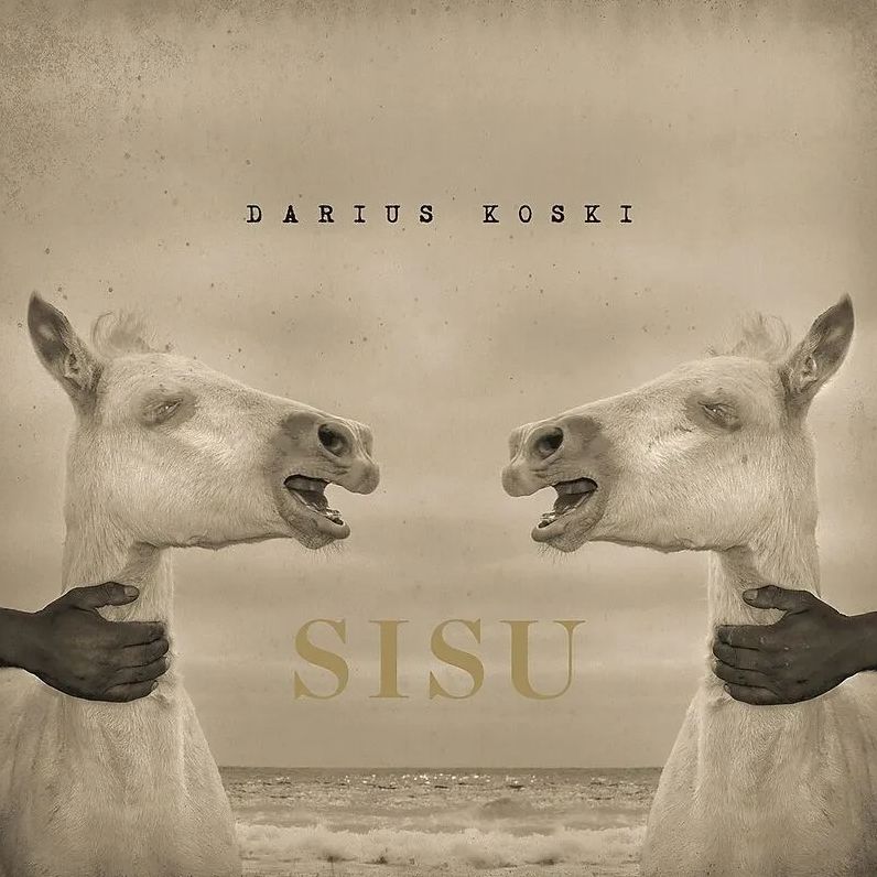 Sisu