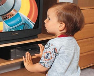 Parent Units DVD/CD Shield