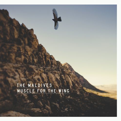 Muscle For the Wing