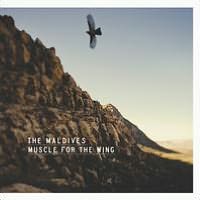 Muscle For the Wing
