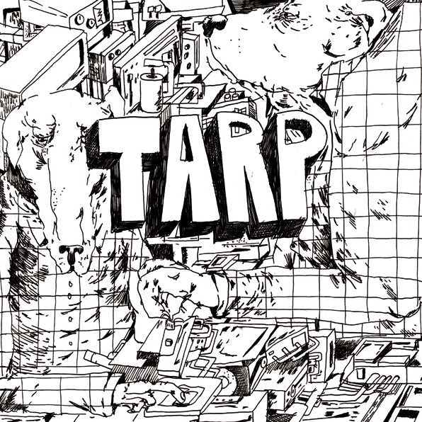 Tarp