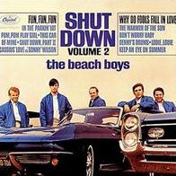 Shut Down, Vol. 2