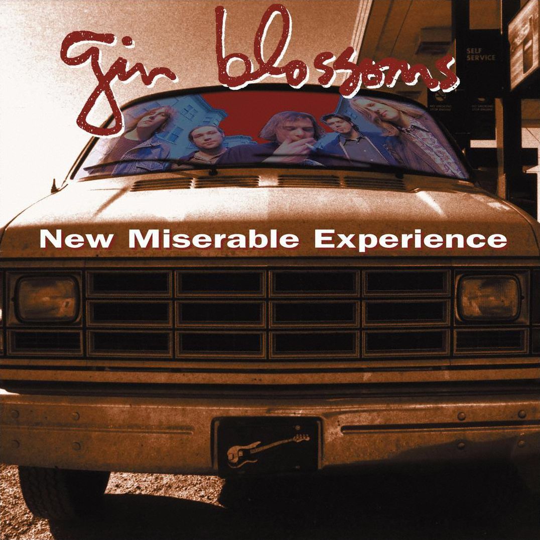 New Miserable Experience