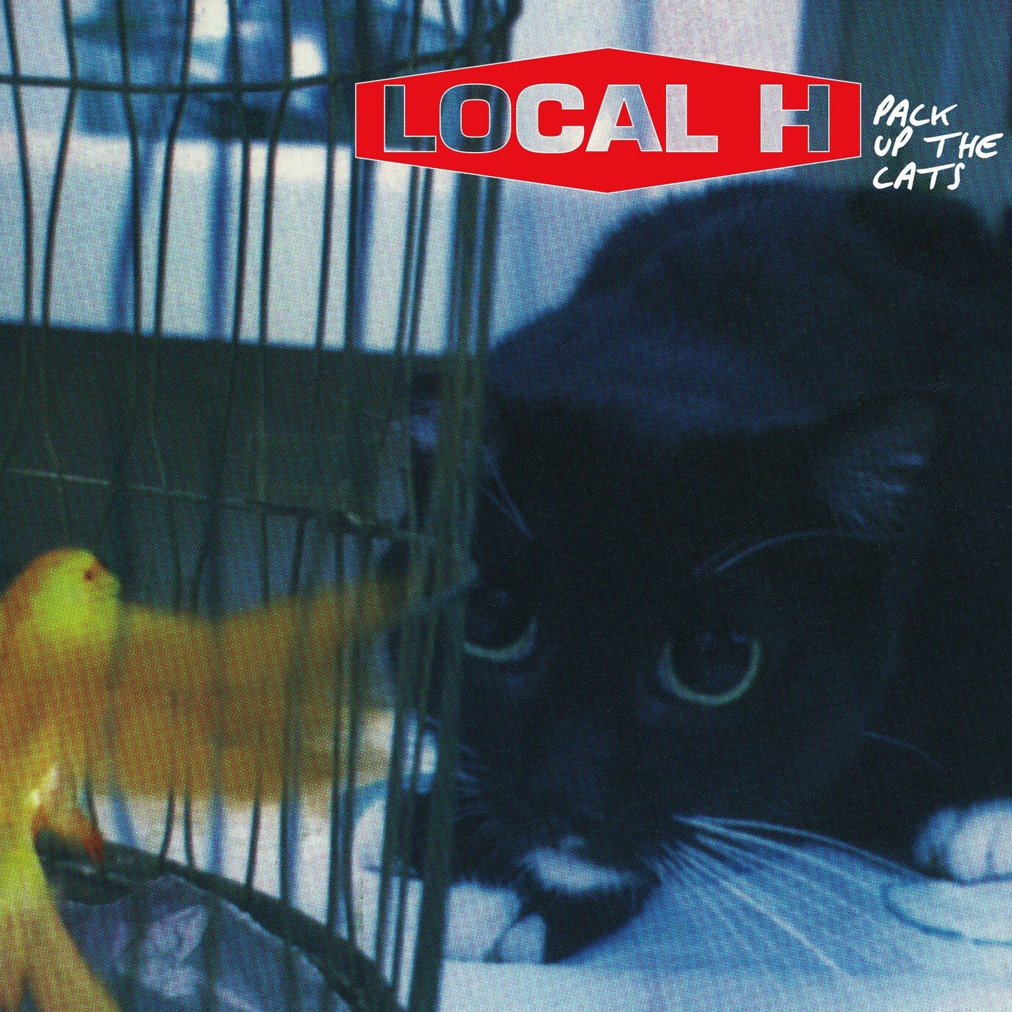 Pack Up The Cats