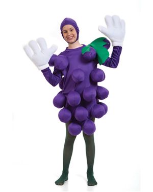 Peter Alan Inc. 9500CHPA-STD Childs Purple Grapes Costume Size Standard