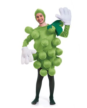 Peter Alan Inc. 9501CHPA-STD Childs Green Grapes Costume Size Standard