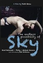 The Endless Possibility of Sky