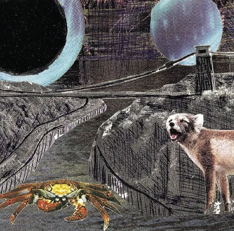 Green Cosmos (Deerhoof)